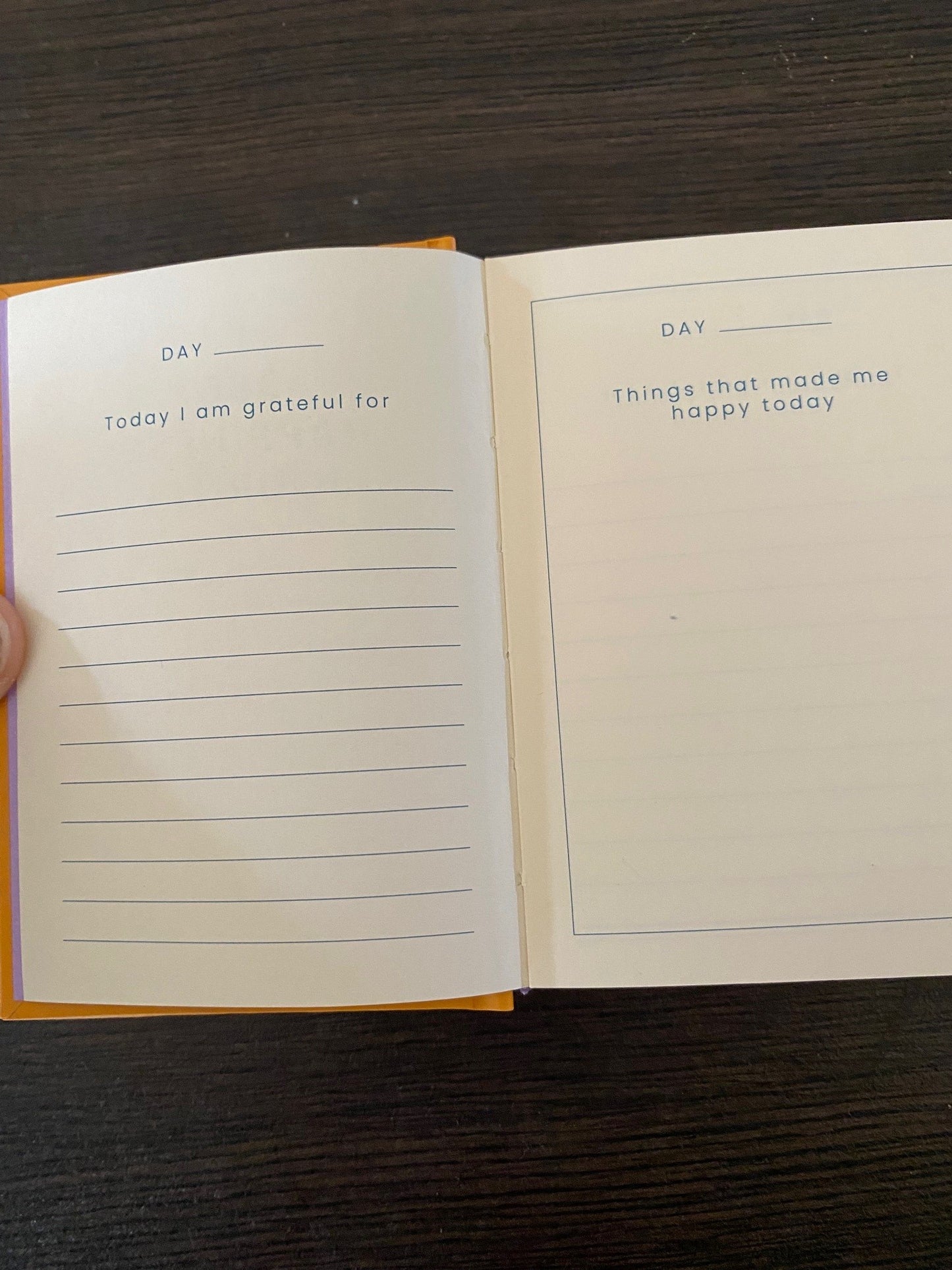 z. Let the Sun In Happiness Journal